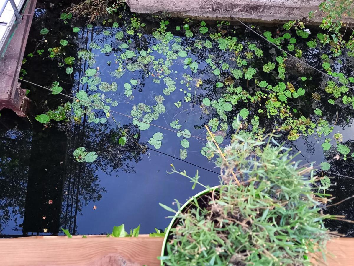 Appartement Atypique Independant Sur Peniche Metz Zewnętrze zdjęcie