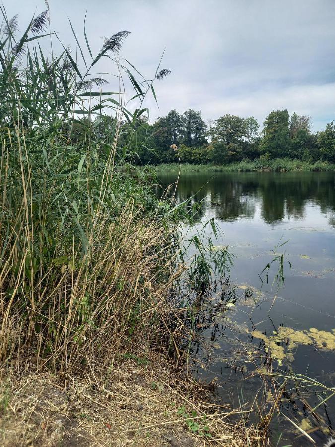 Appartement Atypique Independant Sur Peniche Metz Zewnętrze zdjęcie