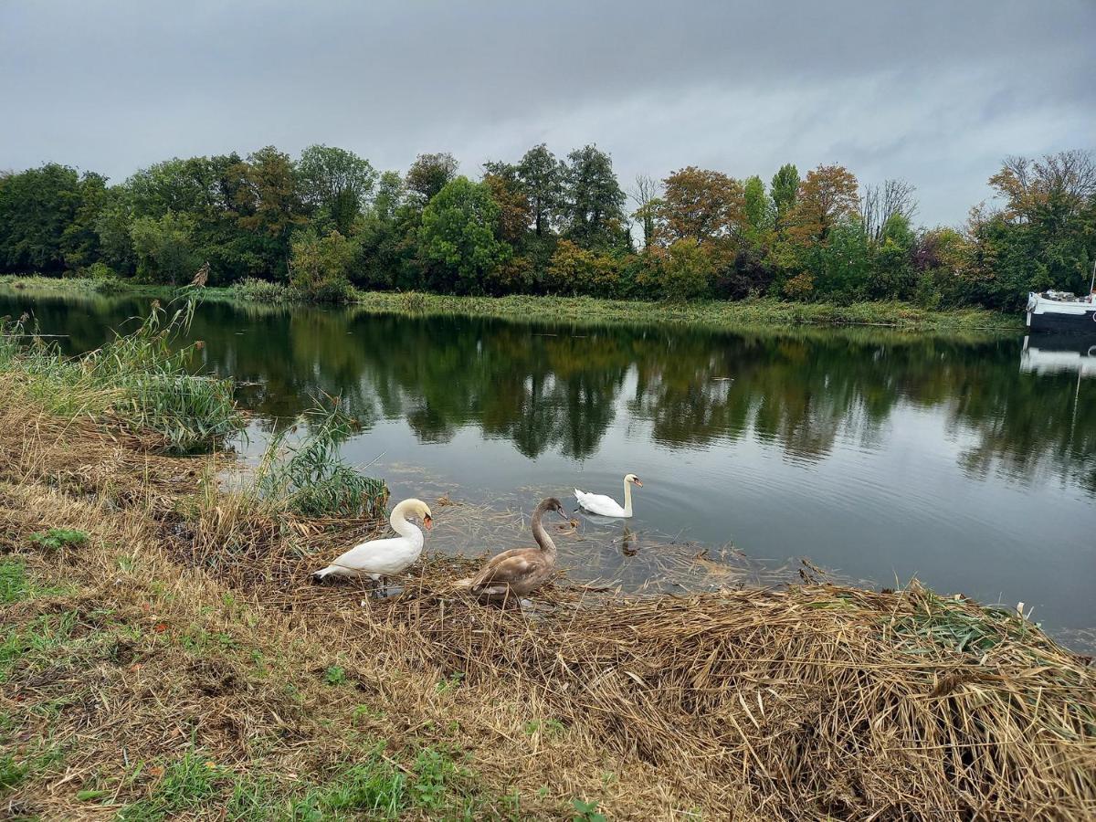 Appartement Atypique Independant Sur Peniche Metz Zewnętrze zdjęcie