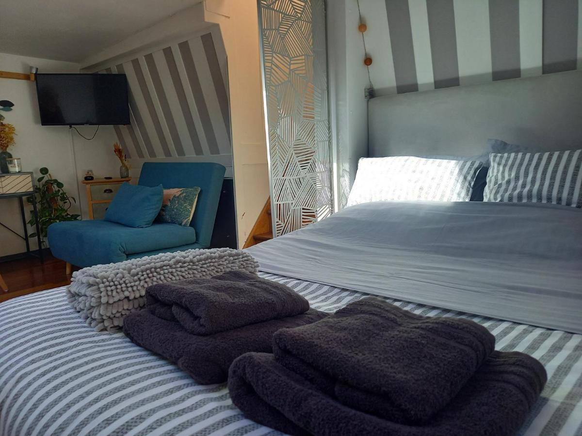 Appartement Atypique Independant Sur Peniche Metz Zewnętrze zdjęcie